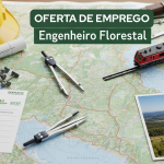 Esta Vaga Para Engenheiro Florestal em Braga Pode Mudar a Sua Vida (E o Segredo Está Escondido à Vista de Todos)